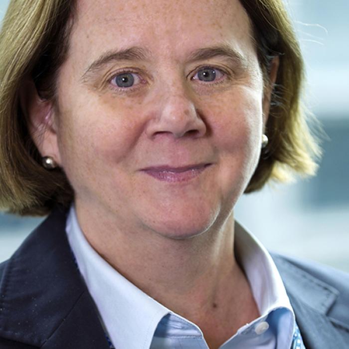 BERD majorează investiţiile în statele arabe la 2,5 miliarde de euro