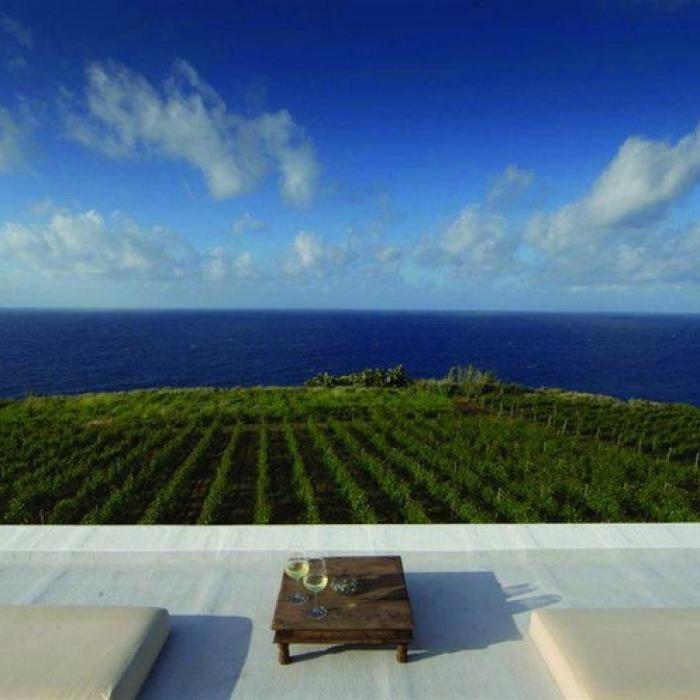 Cinci destinații viticole din Italia care pot fi vizitate în noiembrie