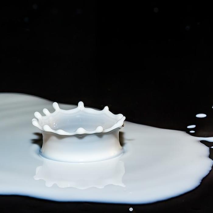 Dacă e vinovat, grupul Lactalis riscă sancțiuni severe