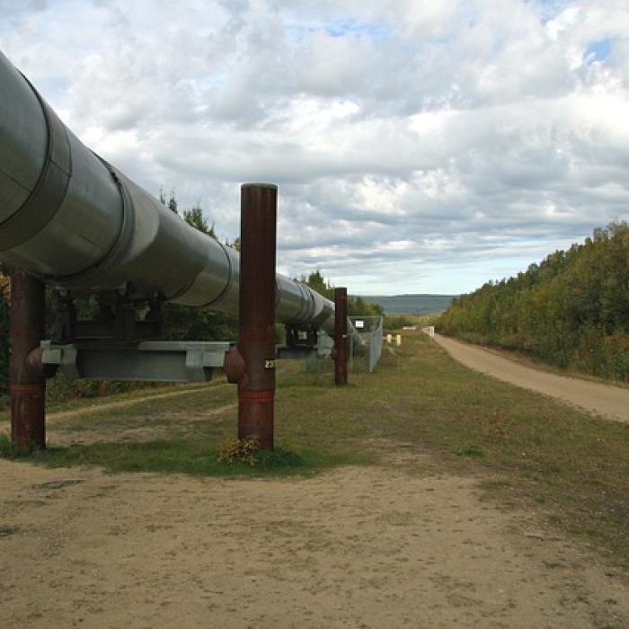 Rușii de la Gazprom trag tare la gazoductul TurkStream