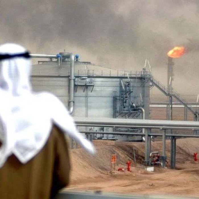 Arabia Saudită vrea să afle cum va arăta un viitor fără OPEC