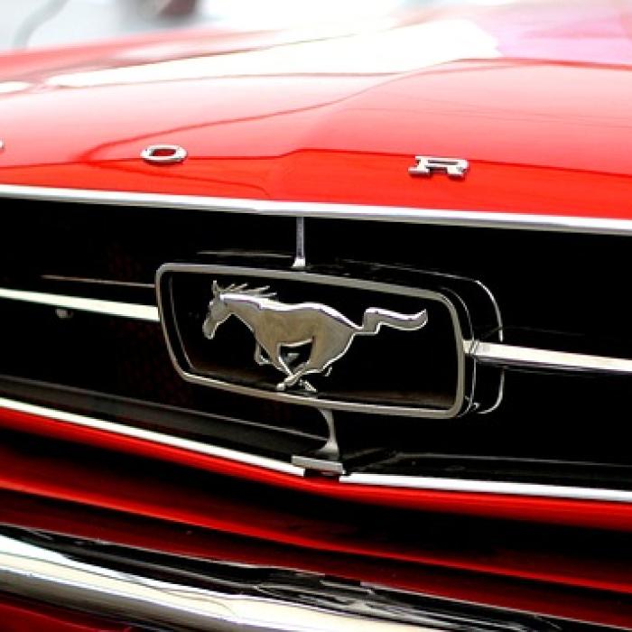 Ford va începe concedierile în Europa. Câți angajați sunt vizați