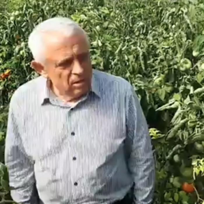 Petre Daea: România nu se va mai da jos de pe piedestal!
