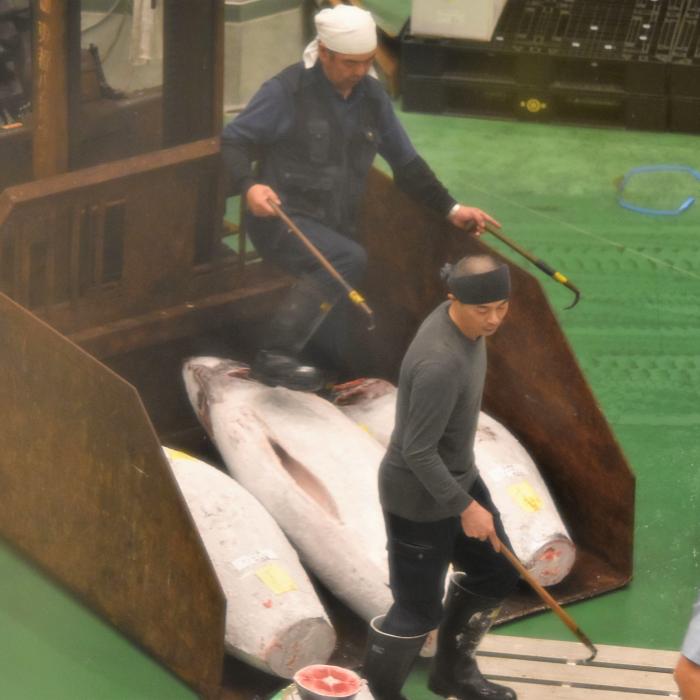 Record în Japonia. Un pește vândut la un preț incredibil FOTO