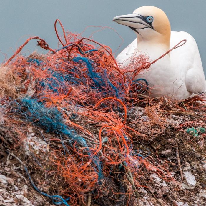 Alianţa globală investește o sumă colosală în lupta cu deșeurile din plastic