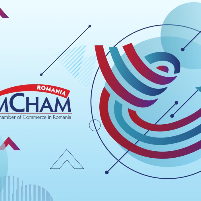 AmCham: Cascada de ordonanțe face economia imprevizibilă