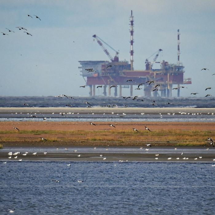 Black Sea Oil&Gas investește în producția de gaze din Marea Neagră