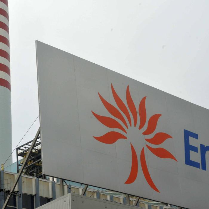 Enel, profituri record. De unde vin cele mai mari venituri