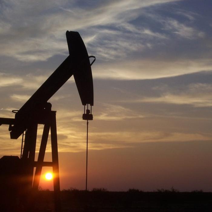 Exportatorii de petrol sunt încă sub șoc. Explicația FMI
