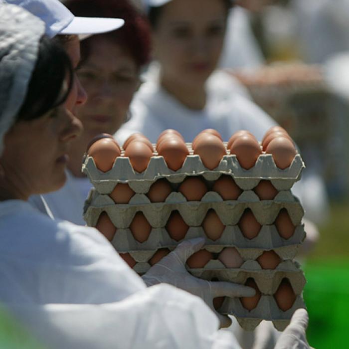 18 mii de ouă infestate cu fipronil, retrase din comerț