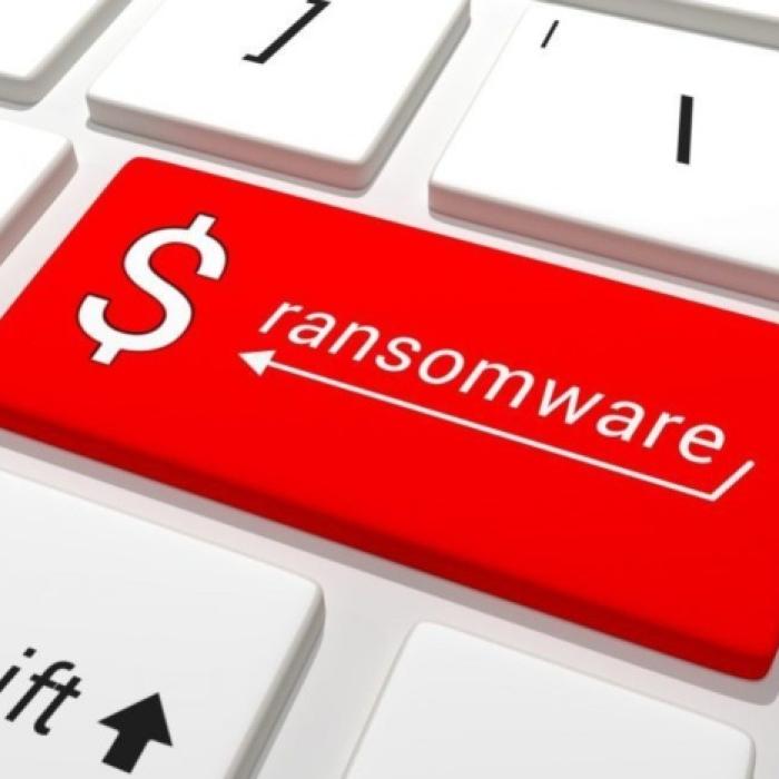 Nou soft gratuit pentru victimele celui mai agresiv virus informatic