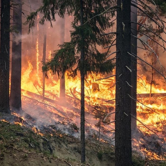 Ploaie artificială pentru stingerea incendiilor de pădure