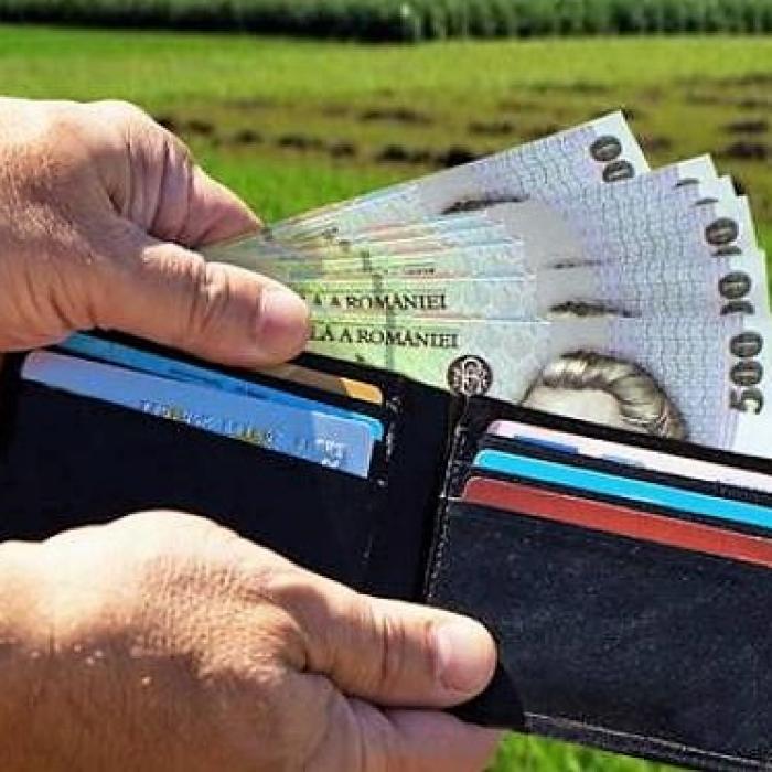 Subvenții 2019. Bani de la stat pentru acești angajatori