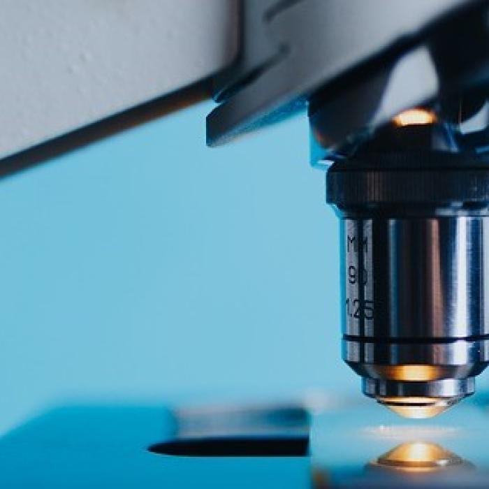 Inteligența artificială, un pericol pentru medicină?