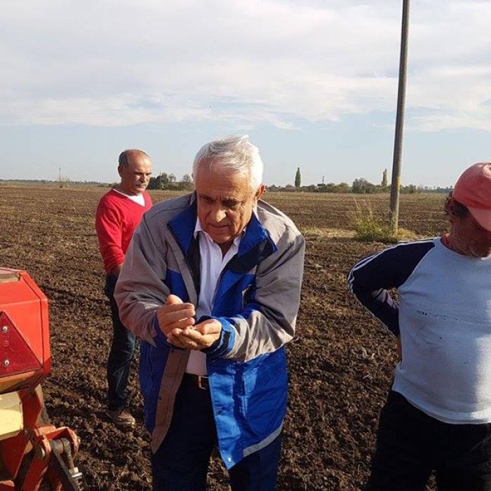 Strategia lui Daea. Cum vrea să-i învingă pe greii Europei la ”aurul vegetal”