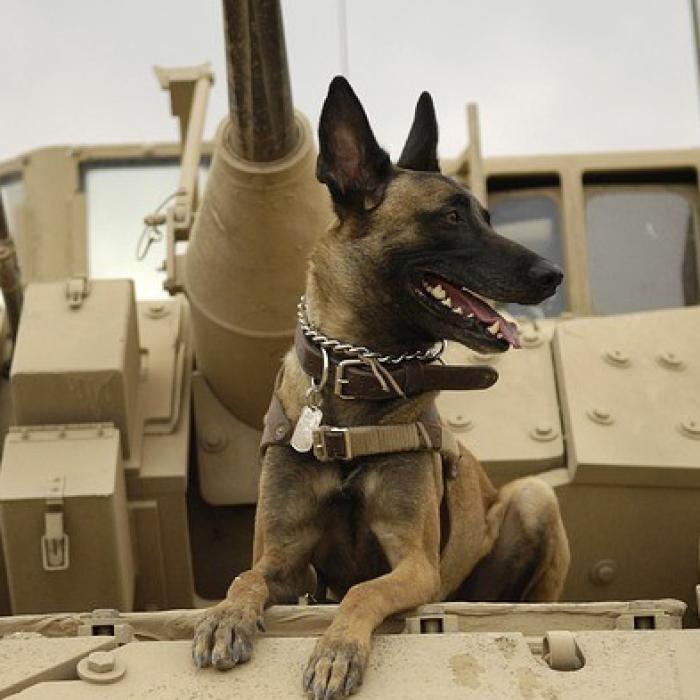 Stop vânzărilor de arme către Arabia Saudită. Decizia unei țări europene