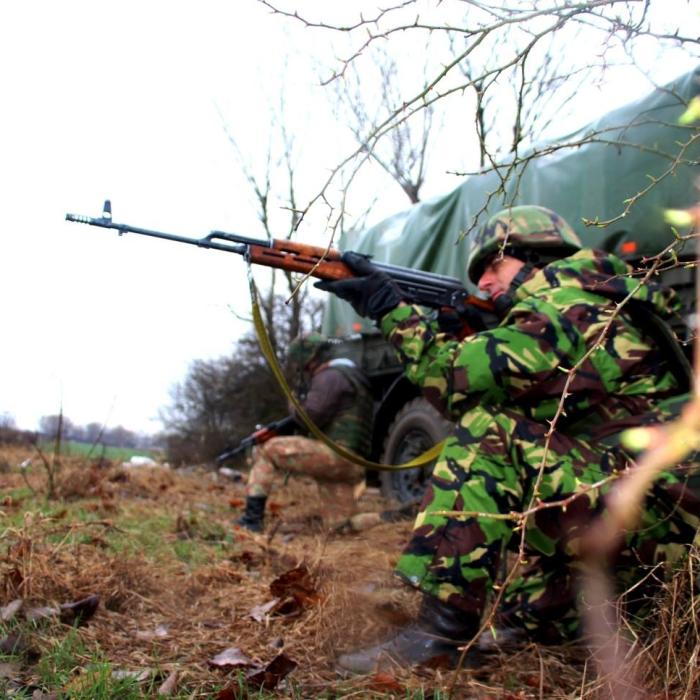 România celebrează 15 ani de la aderarea la NATO