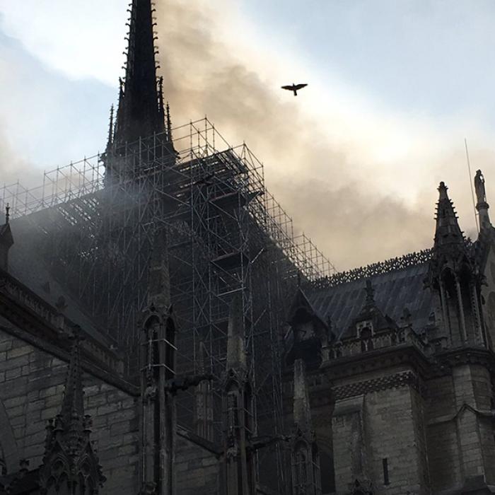 Catedrala Notre Dame. Ultimele reacții, turnurile au fost salvate