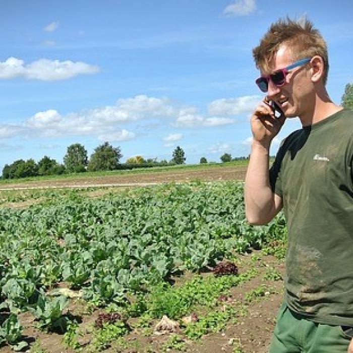 Fermierii americani sunt disperați! Activitatea lor este blocată