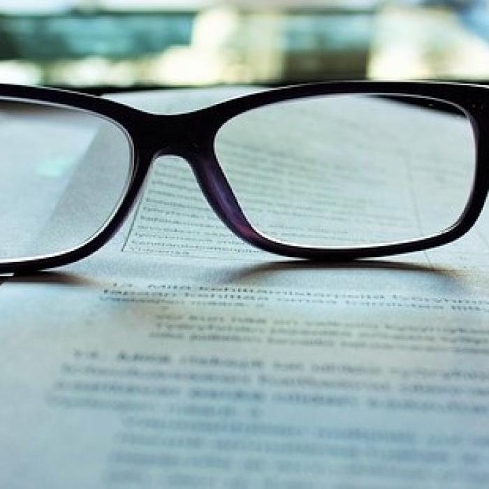 Se dorește o nouă lege a Curţii de Conturi. Cine spune asta