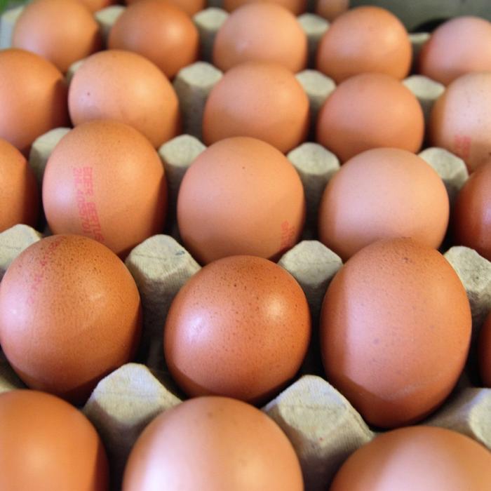 Cele mai multe ouă din comerț provin de la găini crescute în baterii