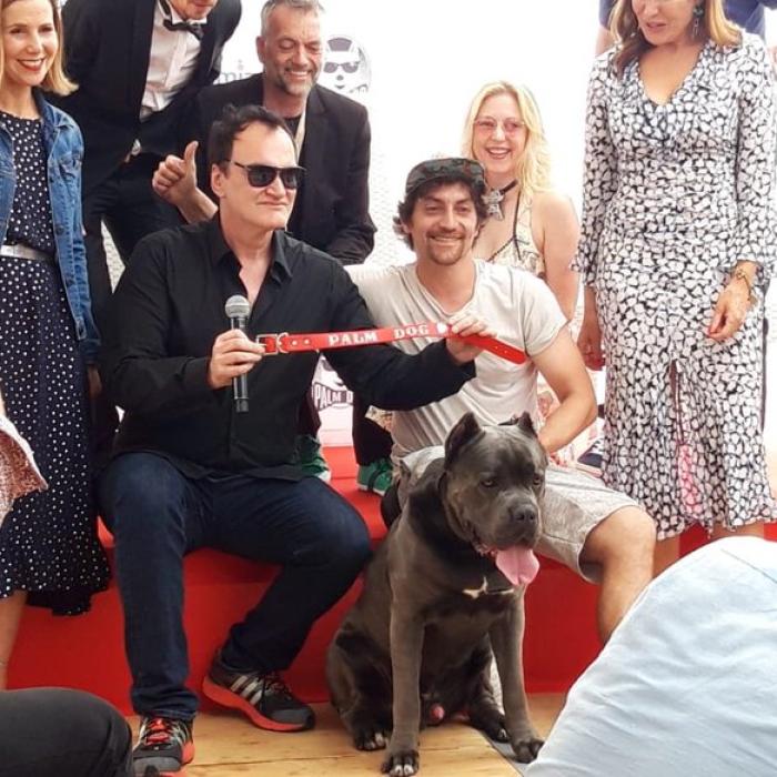Câinele din filmul lui Tarantino de la Cannes, premiat cu ”Palm Dog” VIDEO