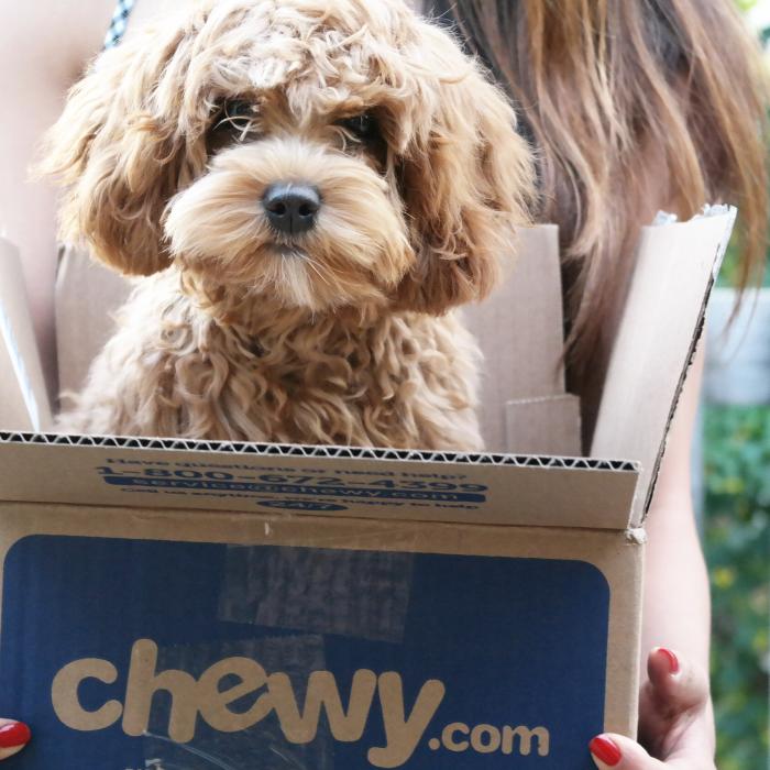 Intrare spectaculoasă la Bursa din New York. Produce mâncare pentru animale