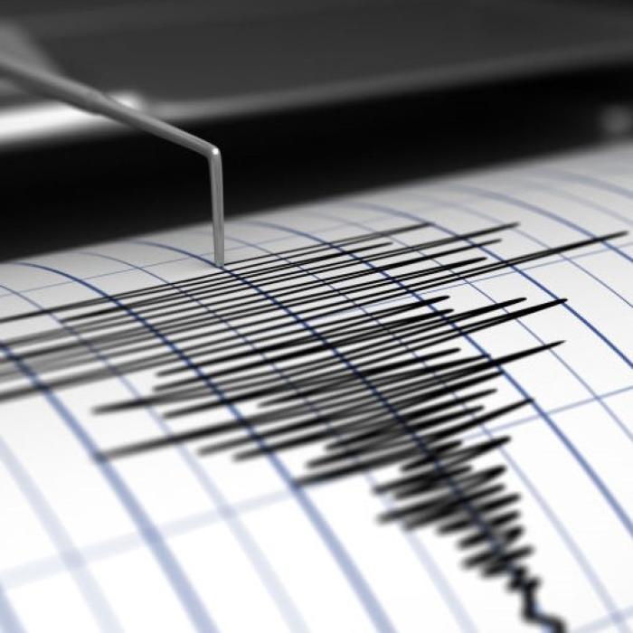 Cutremur puternic în Japonia, urmat de un tsunami VIDEO