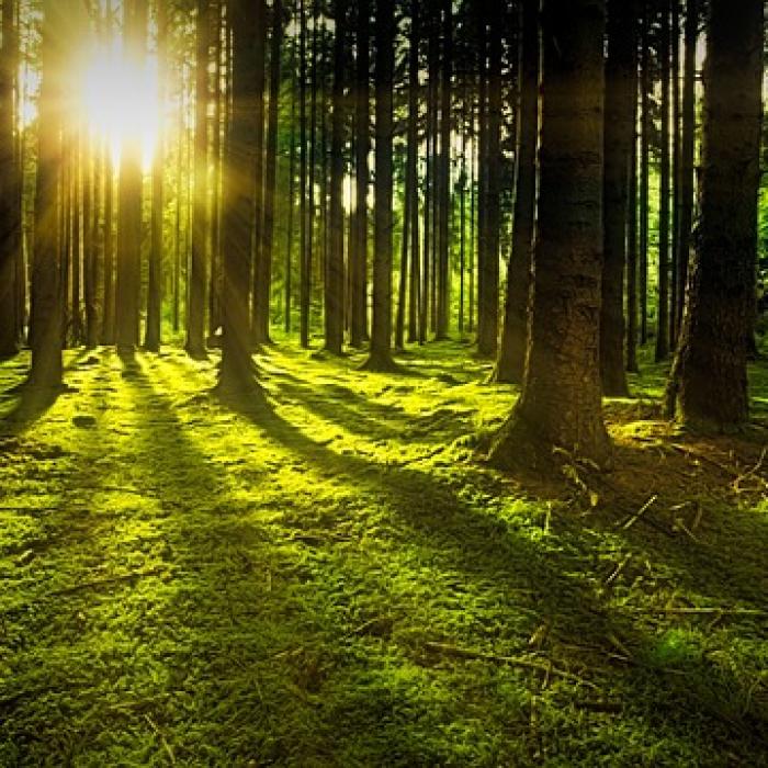 Comisia Europeană solicită României să finalizeze reţeaua Natura 2000 