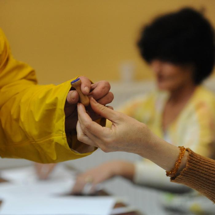 Până când și unde se pot înscrie românii din diaspora în Registrul electoral