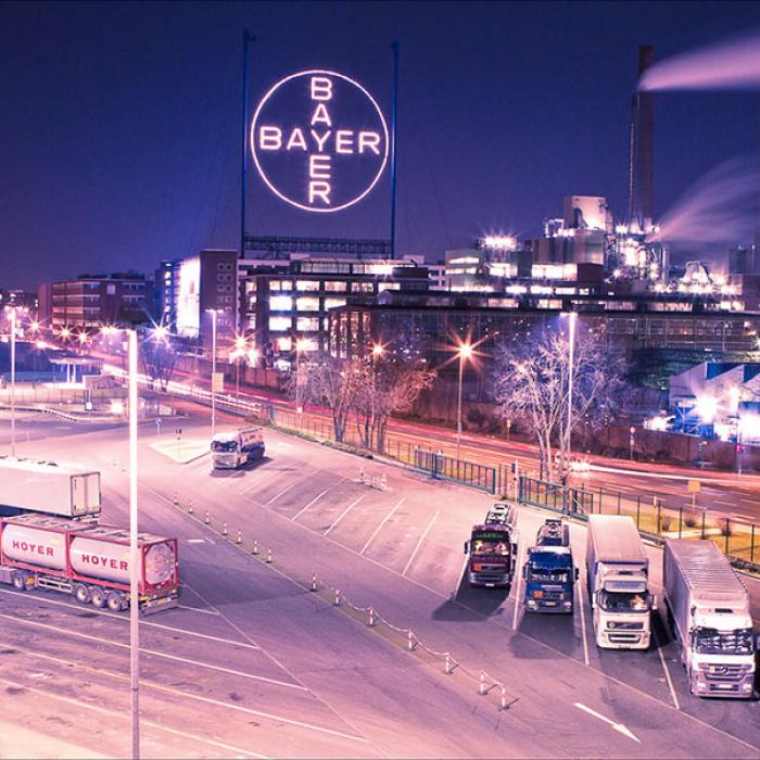 Acțiunile Bayer se scufundă sub presiunea scandalului legat de erbicidul cu gliphosat