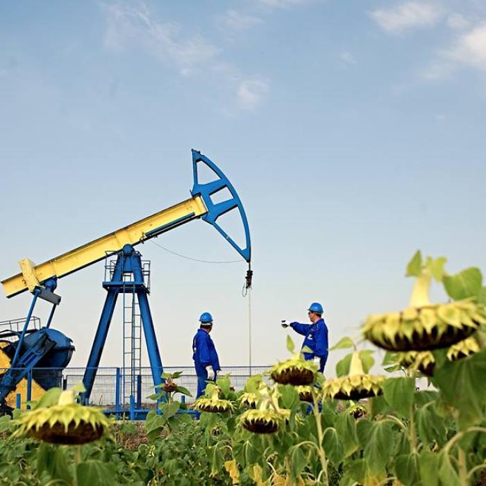 OMV Petrom, profit net în creştere cu 53% 