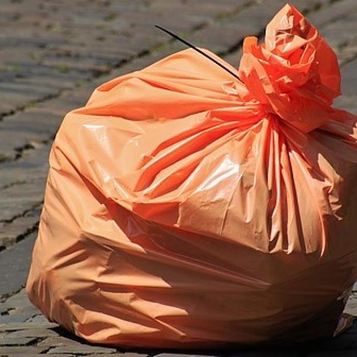 Amenzi de 500 de lei pentru aruncarea gunoiului pe jos