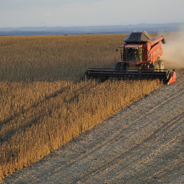 Ce spune Petre Daea despre plantele modificate genetic