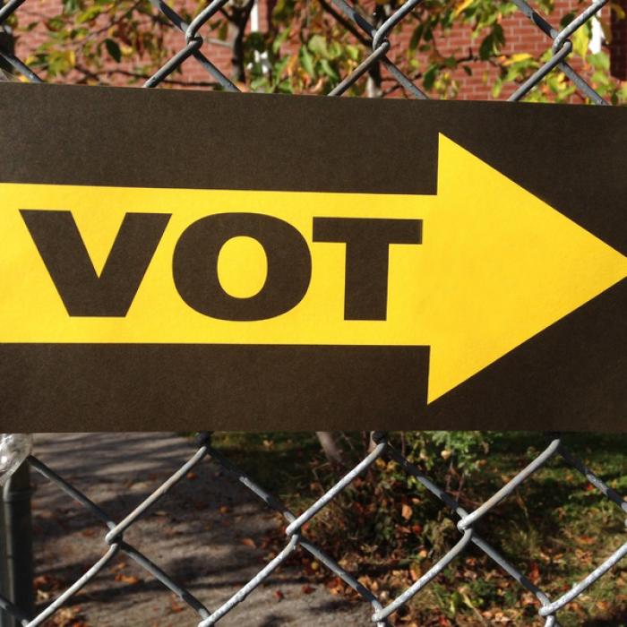 Diaspora mai are 22 de zile pentru a se înregistra pe portalul www.votstrainatate.ro