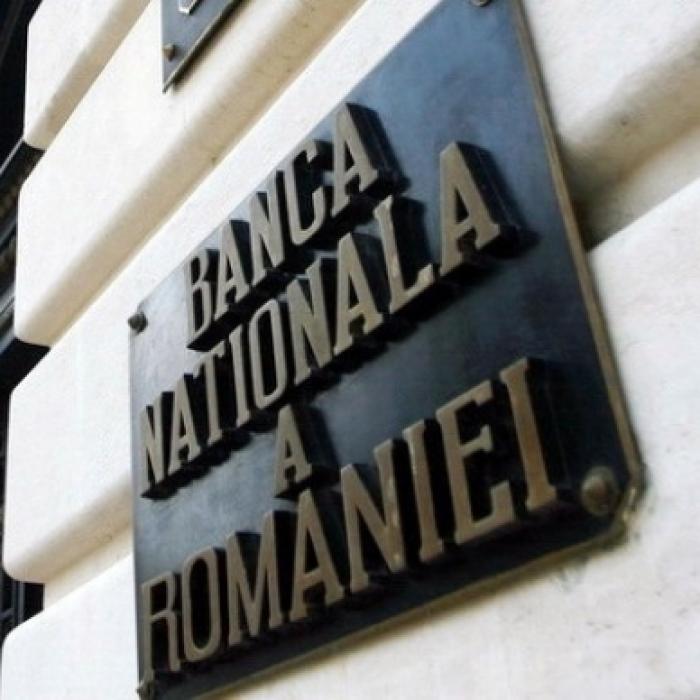 Eugen Rădulescu, BNR: Nu cred că mai rezistăm încă un an şi jumătate până la alegeri