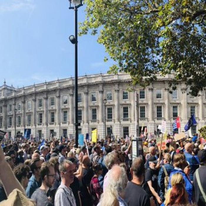 Brexit. Protest masiv în Londra față de suspendarea Parlamentului