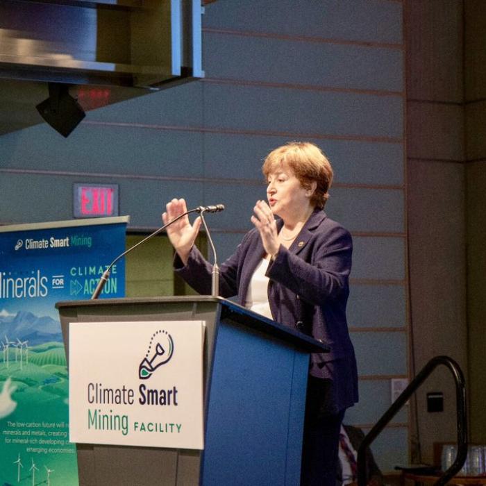 Kristalina Georgieva, unicul candidat la șefia FMI