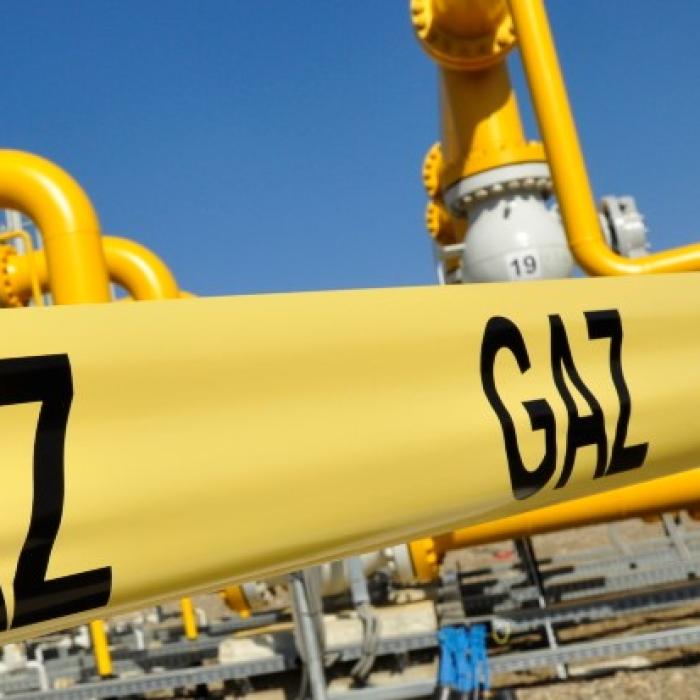 Gaze naturale pentru Europa. Care este punctul de vedere al Rusiei