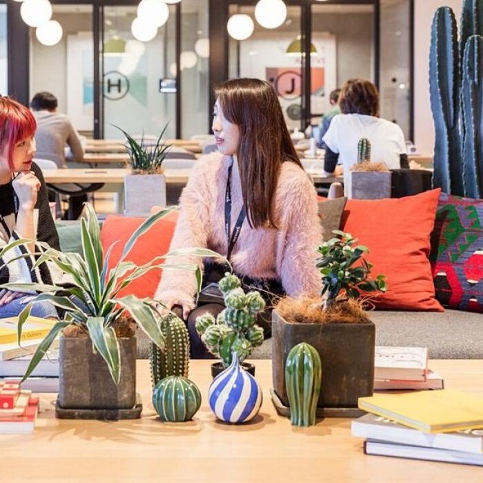 Companie de succes, devenită exemplu negativ la Silicon Valley