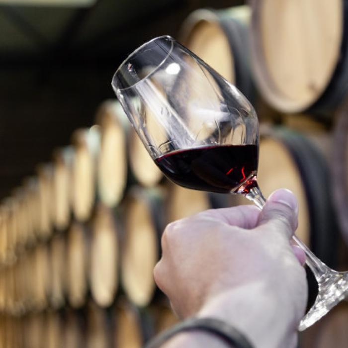 Statistici îngrijorătoare. Producţia de vin la nivel mondial, în scădere