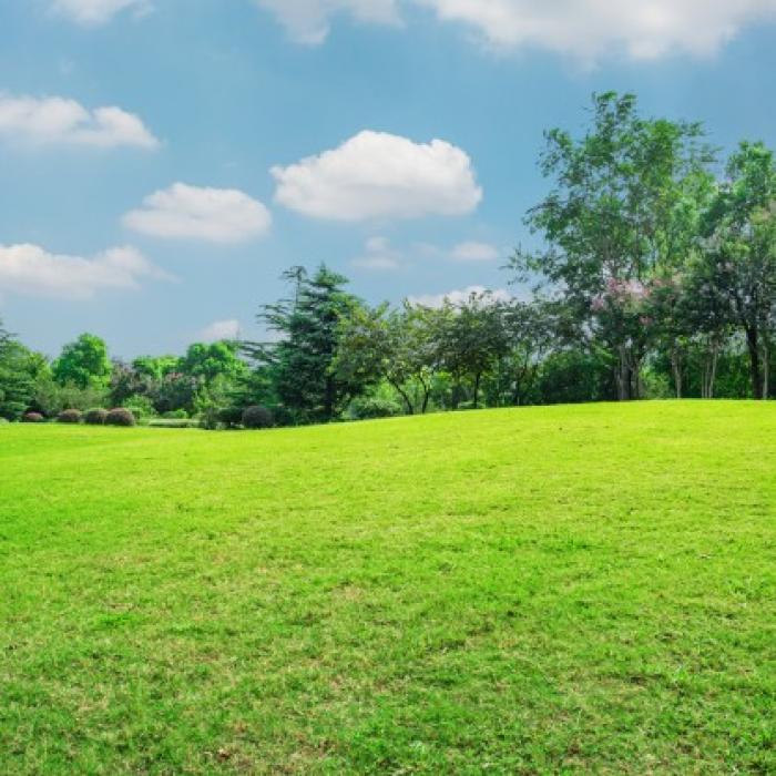 Ce afacere îți poți deschide la țară care nu țin de agricultură