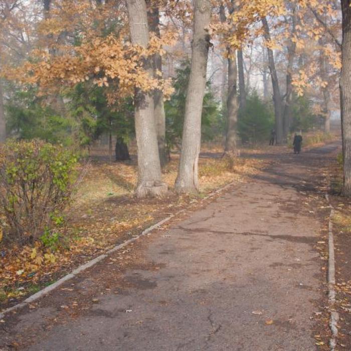 Antenționare nowcasting cod galben de ceață