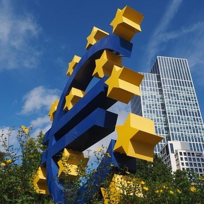 Dăianu: Moneda comună are nevoie de o zonă euro robustă