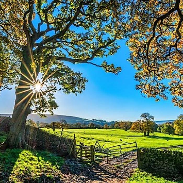 România a ajuns a opta putere în UE. Vezi în ce domeniu