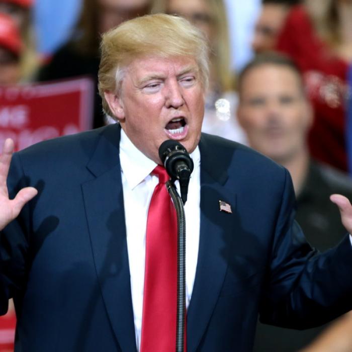”Dovezi copleșitoare” în ancheta pentru destituirea lui Donald Trump