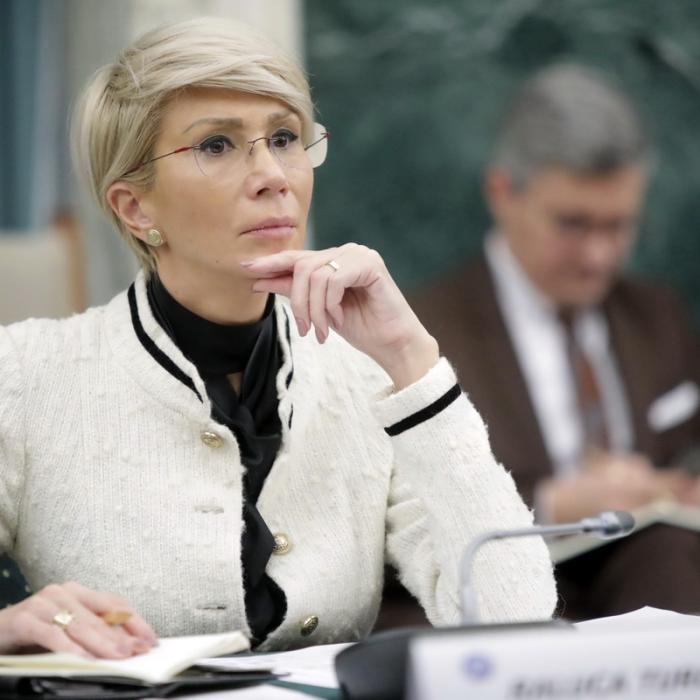 Turcan:Nu mai putem investi în proiecte IT gigantice