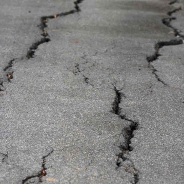 Baba Vanga, previziune catastrofală pentru România în 2020