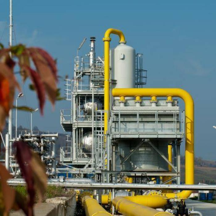 Planurile Romgaz privind proiectul Neptun. De unde va lua bani