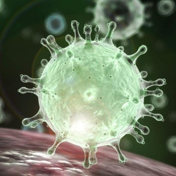 Primul caz de infecție cu noul coronavirus, confirmat în Belgia